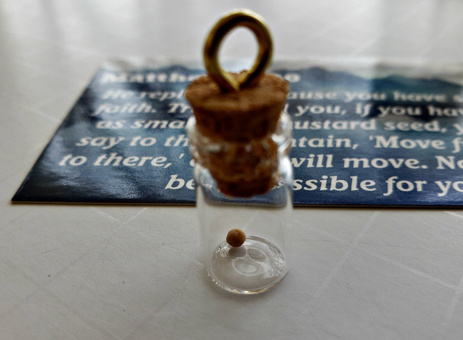 4 Pack Mustard Seed Bottle with Card and Scripture Verse 4 Etsy