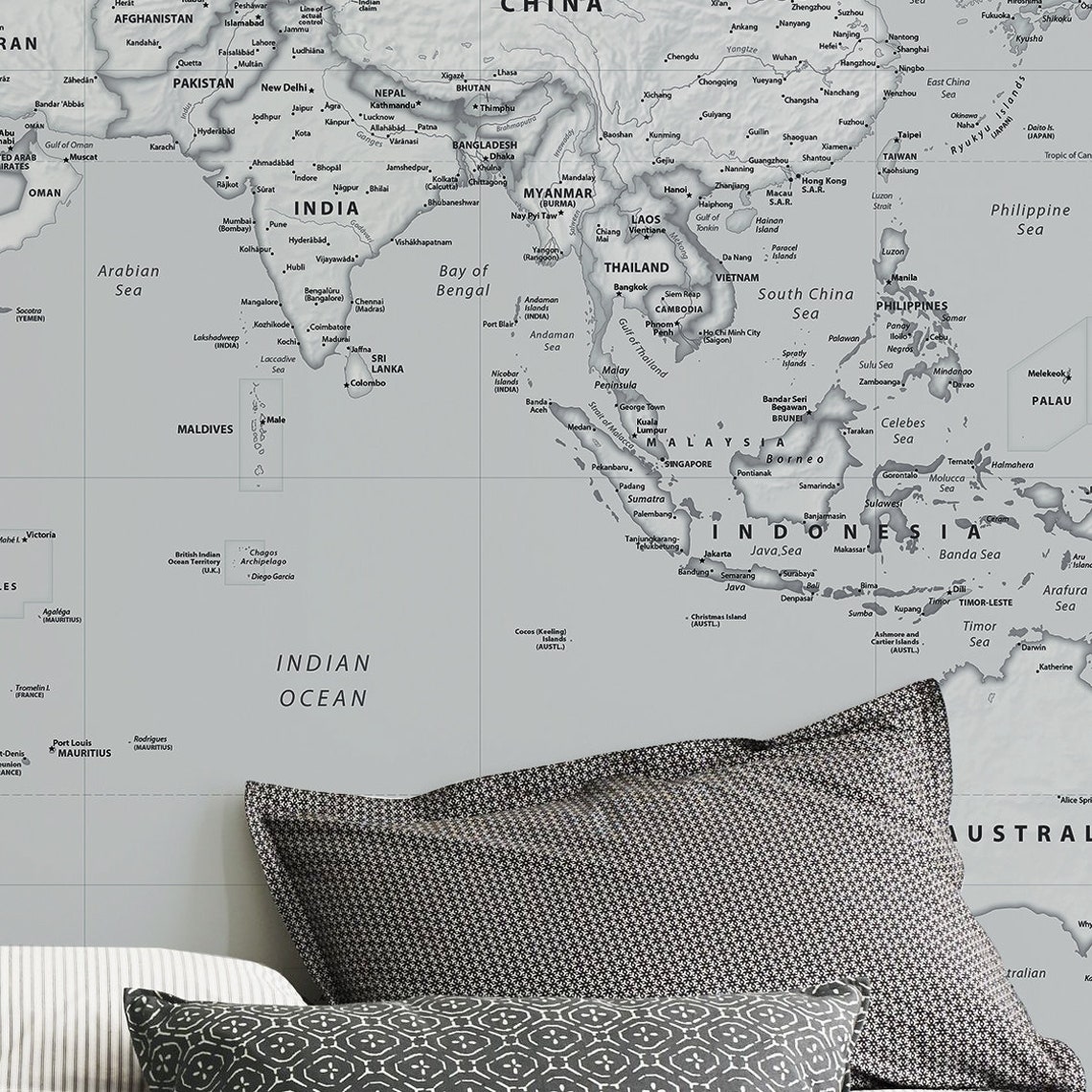 Removable Wallpaper Mural World Map Political map removable | Etsy