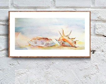 sea shell watercolor painting original decor