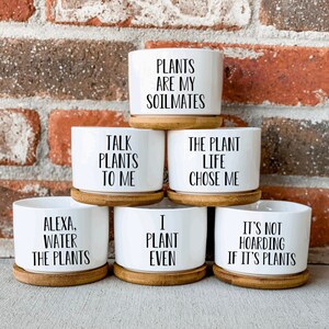 May include: Six white ceramic plant pots with funny plant-themed sayings. The pots are stacked on top of each other and have wooden bases. The sayings on the pots are: "Talk Plants To Me", "Plants Are My Soilmates", "The Plant Life Chose Me", "Alexa, Water The Plants", "I Plant Even", and "It's Not Hoarding If It's Plants".
