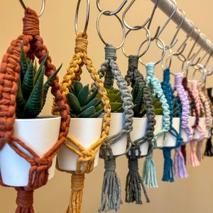 May include: A row of small, white pots with faux succulents hanging from metal hooks. Each pot is wrapped in colorful macrame with a tassel at the bottom. The colors include orange, yellow, gray, blue, light blue, purple, pink, and maroon.