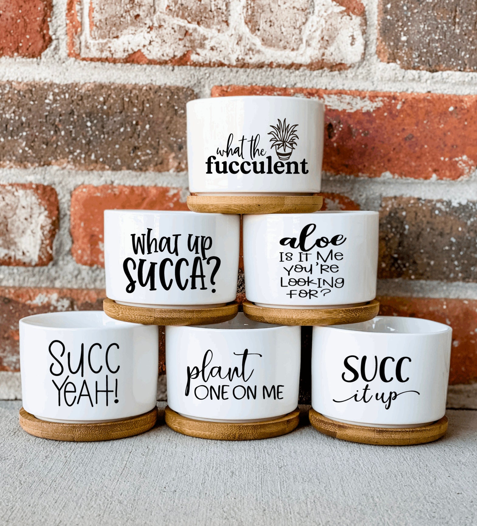Planter Designs 2, What the Fucculent Ceramic Planter Pot Bamboo Tray…