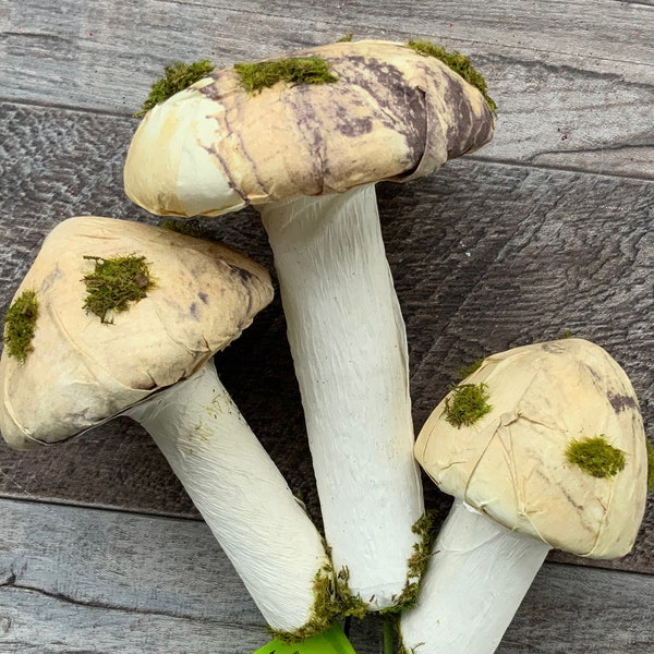 Mushroom Floral Pick Etsy