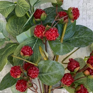 May include: Close-up of a decorative floral arrangement featuring vibrant red berries and lush green leaves. The berries have a textured appearance, and the leaves display intricate veining. The arrangement is suitable for home decor.