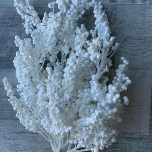 May include: A white, artificial berry stem with a cluster of small, round berries. The berries and stems are covered in a glittery coating, giving them a sparkling appearance. The stem is a decorative element, likely for seasonal or holiday arrangements.
