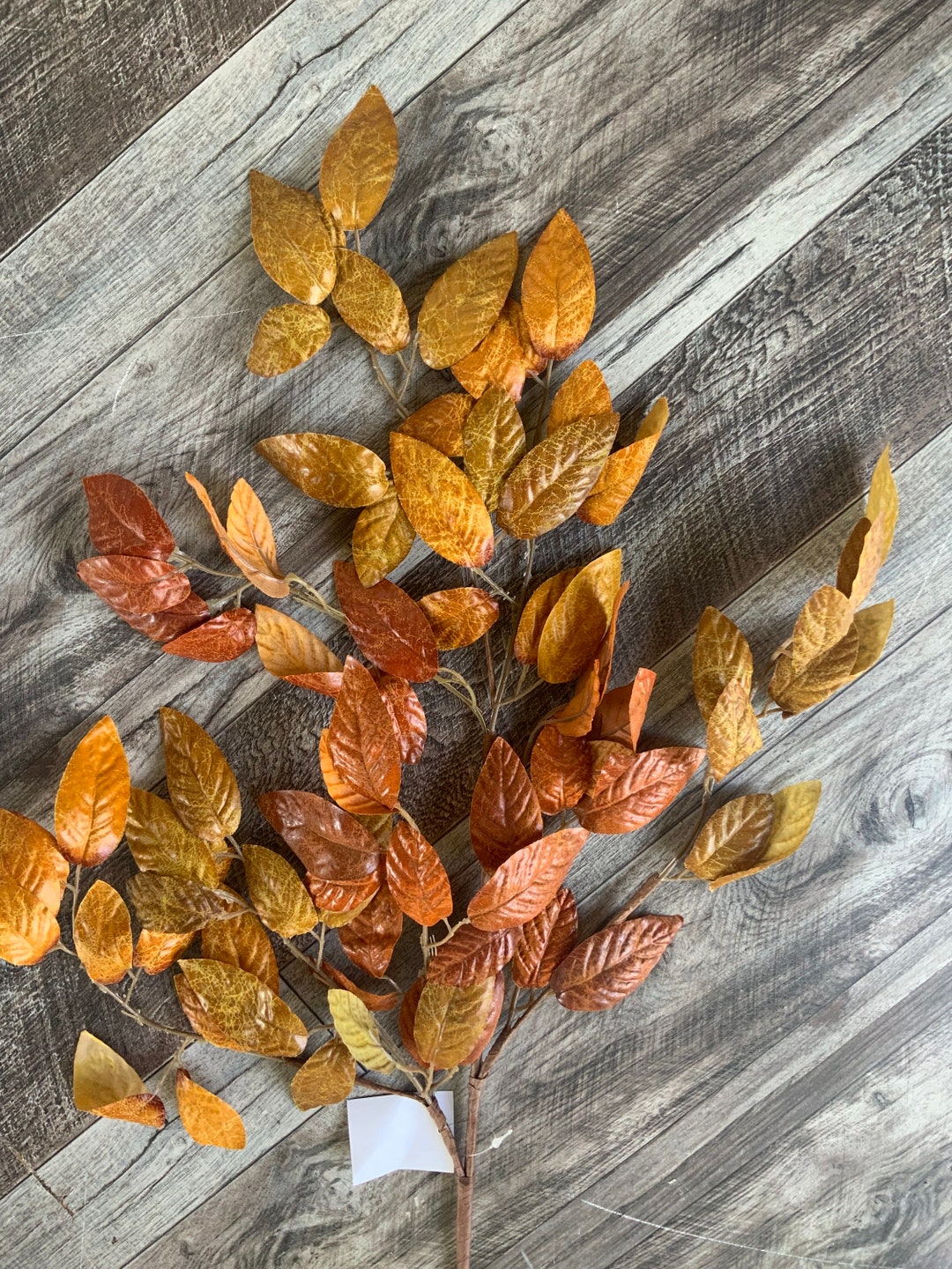 Leaf Stem, Fall, Golden Tones, Fall Golden Tones Leaf Stem, Spray ...