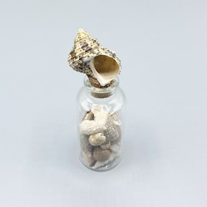 Nautical Sea Glass Bottle*Mini Seashell Bottle*Ocean in a Bottle*Seashell Bottle*Nautical Bottles*Nautical Bottle Decor*Beach House*Conch