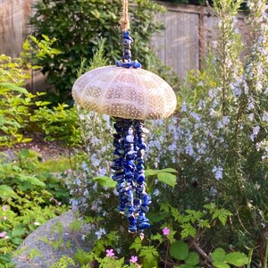 Blue Sea Urchin Chimeseashell Wind Chimecoastal Home | Etsy
