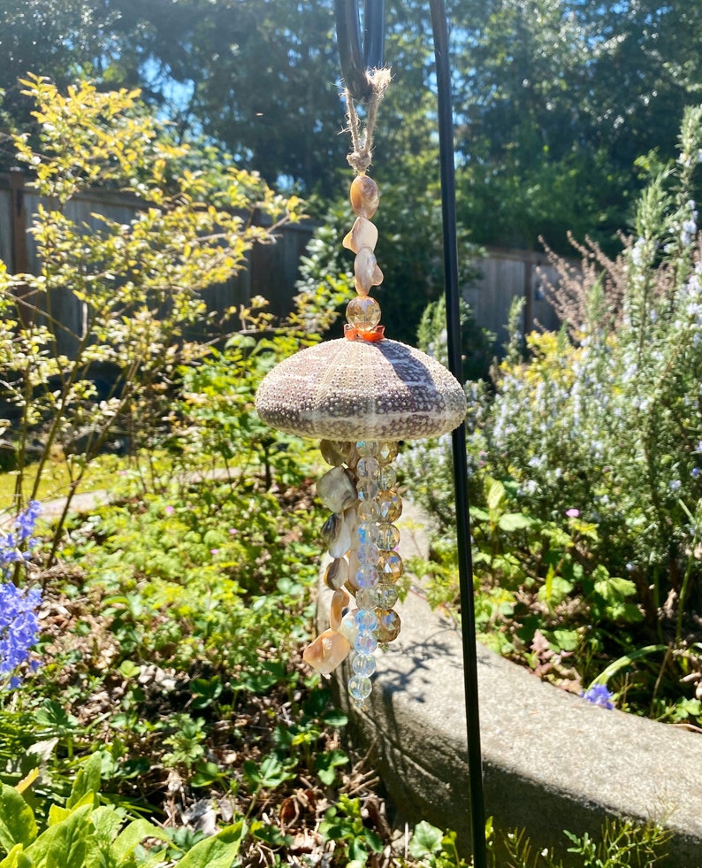 Sea Urchin ChimeSeashell Wind ChimeJellyfish | Etsy