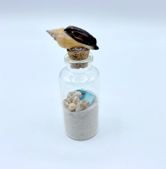 Blue Sea Glass Bottle*Starfish Bottle*Hand Painted*Coastal Decor*Beach House*Blue Sea Glass*Seashells*Ocean in a Bottle*Coastal Home Decor Blue Sea Glass Bottle*Starfish Bottle*Hand Painted*Coastal Decor*Beach House*Blue Sea Glass*Seashells*Ocean in a Bottle*Coastal Home Decor