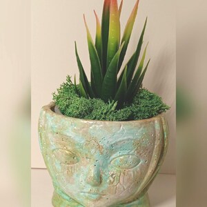 Plant Pots/ concrete pottery/ small succulents