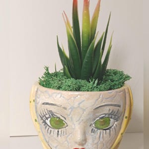 Plant Pots/ concrete pottery/ small succulents