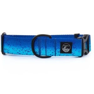 Blue Mahi Dog Collar | Fishing Pet Collar | Nautical Collar Stainless Steel | Black Metal Collar | Girl Dog Collar | Boy Summer Martingale