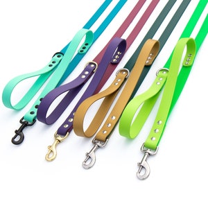 Correa para perros BioThane® impermeable de dos tonos con asa para el tráfico / Correa vegana para mascotas / Acero inoxidable, herrajes de latón macizo / Correa para perros para todo tipo de clima