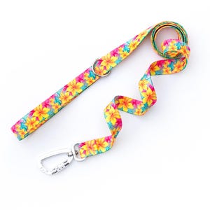 Hawaiian Plumeria Dog Leash: Tropical Floral Polyester Webbing