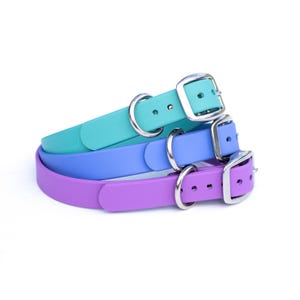 Effen gekleurde BioThane®-hondenhalsband 3/4&quot; of 1&quot; | Waterdichte hondenhalsband van roestvrij staal, massief messing of zwart metalen hardware | Veganistische kraag