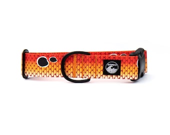 Redfish Scales Dog Collar: Durable Polyester Webbing, Stainless Steel Hardware