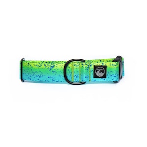 Mahi Mahi Dog Collar | Fishing Pet Collar | Nautical Collar Stainless Steel | Black Metal Collar | Girl Dog Collar | Boy Summer Martingale