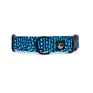 Whale Shark Dog Collar | Fishing Pet Collar | Nautical Collar Stainless Steel | Black Metal Collar | Girl Dog Collar | Boy Summer Martingale