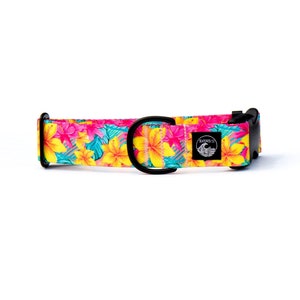 Hawaiian Floral Dog Collar | Tropical Pet Collar | Plumeria Collar Stainless Steel | Black Metal Collar | Girl Dog Collar |Summer Martingale