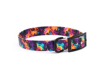 May include: A colorful dog collar with a black buckle. The collar has a swirling pattern of orange, yellow, green, blue, purple, and pink on a black background.