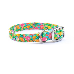 Tropical Fish BioThane Pet Collars | Summer Waterproof Dog Collar | Unique Dog Collar | Beach Dog Collar | Durable Dog Collar | Water Dog
