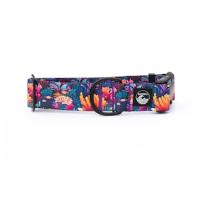 Coral Reef Dog Collar | Tropical Pet Collar | Beach Collar Stainless Steel | Black Metal Collar | Girl & Boy Dog Collar | Summer Martingale