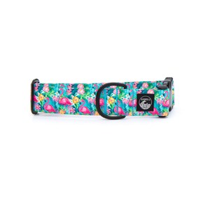 Pink Flamingo Dog Collar: Tropical Floral Pet Collar, Stainless Steel or Black Metal