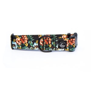 Hawaiian Floral Dog Collar | Tropical Pet Collar | Hibiscus Collar Stainless Steel | Black Metal Collar | Girl Dog Collar |Summer Martingale