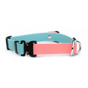 May include: A dog collar with a turquoise blue strap and a coral pink strap. The collar features a black metal buckle and a silver metal D-ring. The collar is designed for durability and style.