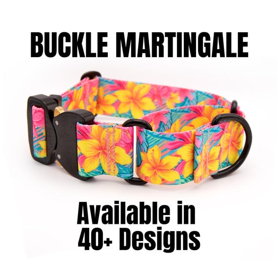 Buckle Martingale Dog Collar: Durable Pet Gear, Available in 40+ Designs, Training Collar