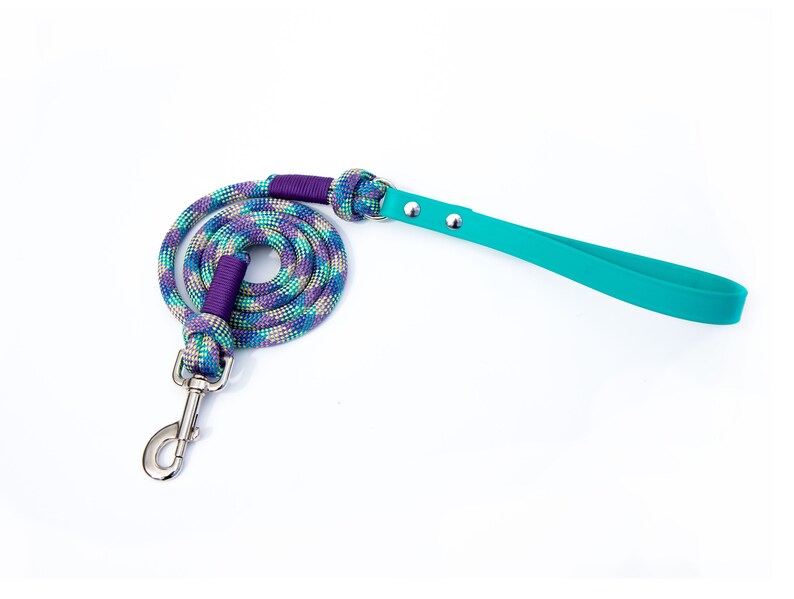 Rope Dog Leash Teal BioThane Dog Leashes Stainless Steel Etsy