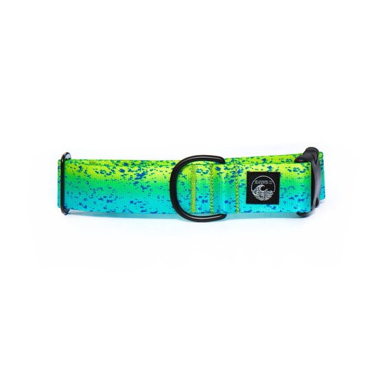 Mahi dog store collar