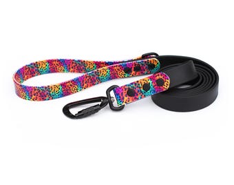 Rainbow Leopard BioThane® Dog Leash: Waterproof, Durable, Easy Clean