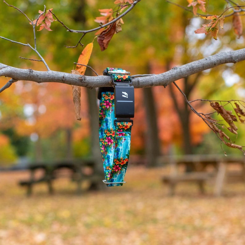 K&ouml;nnte beinhalten: Ein Haustierhalsband mit einem lebendigen Blumenmuster aus rosa, orangefarbenen und gelben Bl&uuml;ten auf blauem Grund. Das Halsband enth&auml;lt ein schwarzes, rechteckiges elektronisches Ortungsger&auml;t mit dem wei&szlig;en Schriftzug Fi auf der Vorderseite.