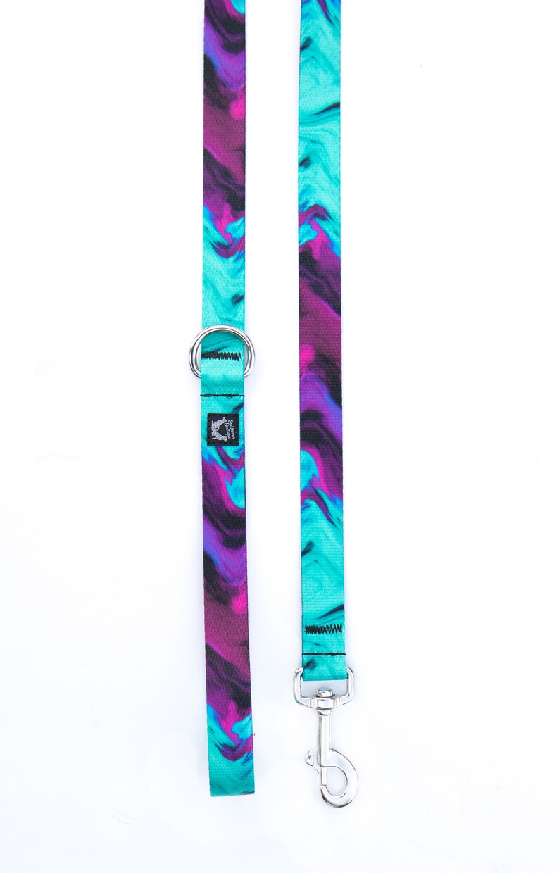 Girl Dog Leash Boy Dog Leash Water Resistant Dog Lead Webbing Dog Leash Dog Lover Gifts Stainless Hardware Heavy Duty Pet Leash