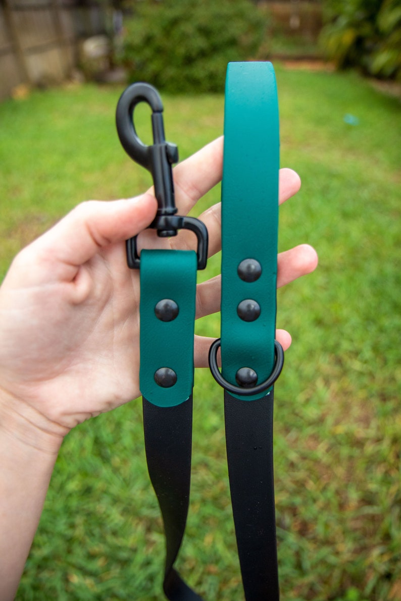 Hunter Green Twotoned Biothane Dog Leashes Waterproof Dog Etsy