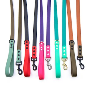 Waterproof BioThane Dog Leash: Two-Toned Vegan Lead, Stainless Steel Hardware