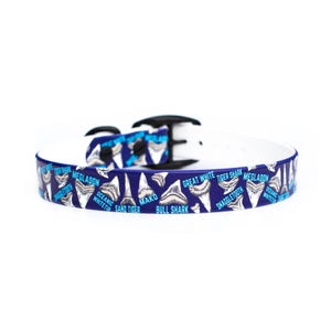 Shark Teeth BioThane® Pet Collar | Jaws Waterproof Dog Collar | Ocean Themed Print | Summer Beach Collar | Colorful Trendy Summer Collar Boy