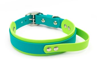 Coleira para cães BioThane® de camada dupla com alça de controle rápido: Coleira ajustável e à prova d'água para mergulho em doca ou FastCAT com cores personalizáveis.