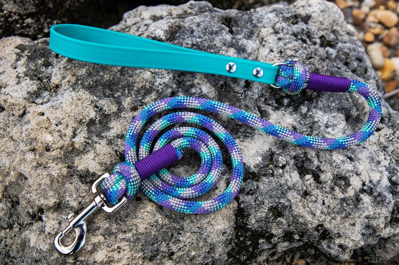 Rope Dog Leash Teal BioThane Dog Leashes Stainless Steel Etsy