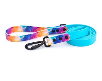 Rainbow BioThane Dog Leash: Waterproof, Durable Pet Leash