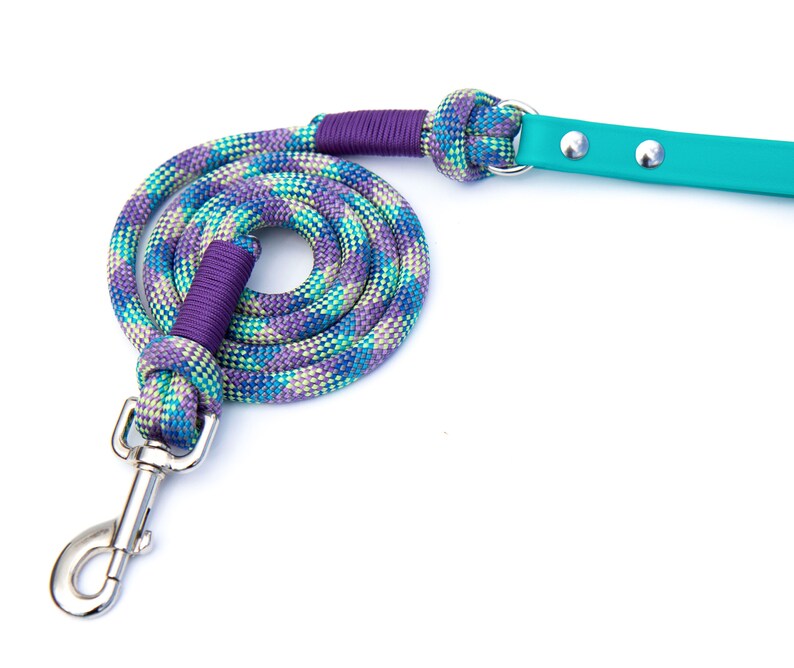 Rope Dog Leash Teal BioThane Dog Leashes Stainless Steel Etsy