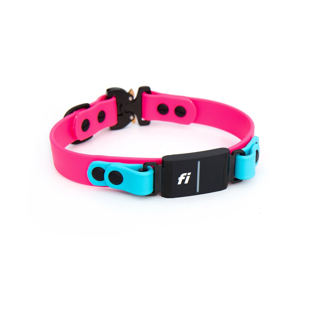 Fi Series 1, 2 or 3 Compatible 3/4 or 1 Over the Band Biothane Dog