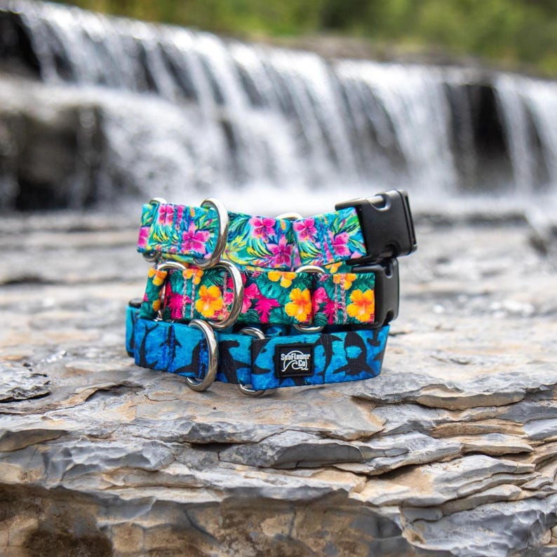 May include: Three stacked pet collars featuring vibrant patterns. The top collar has pink hibiscus flowers on teal, the middle has yellow hibiscus on teal, and the bottom has black shark silhouettes on blue with a SeaSnifter Co. brand label.