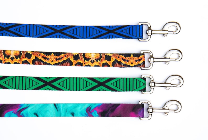Girl Dog Leash Boy Dog Leash Water Resistant Dog Lead Webbing Dog Leash Dog Lover Gifts Stainless Hardware Heavy Duty Pet Leash