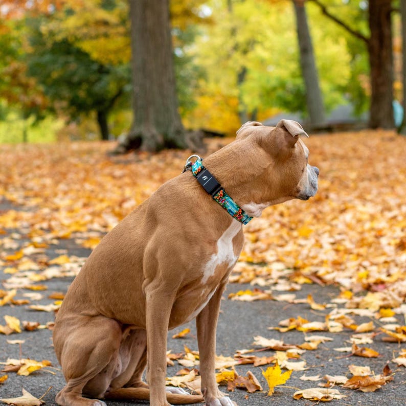 K&ouml;nnte beinhalten: Ein Hundehalsband mit einem lebendigen Blumenmuster in Orange, T&uuml;rkis und Gelb auf dunklem Grund, ausgestattet mit einem schwarzen, rechteckigen elektronischen Ortungsger&auml;t und einem silbernen D-Ring aus Metall.