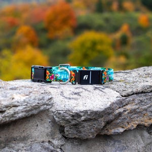 K&ouml;nnte beinhalten: Ein Haustierhalsband mit einem lebendigen tropischen Blumenmuster in Orange, Pink und Gelb auf t&uuml;rkisfarbenem Grund. Das Halsband verf&uuml;gt &uuml;ber eine schwarze Kunststoff-Steckschnalle, einen silbernen Metall-D-Ring und ein schwarzes Fi-Ortungsger&auml;t.