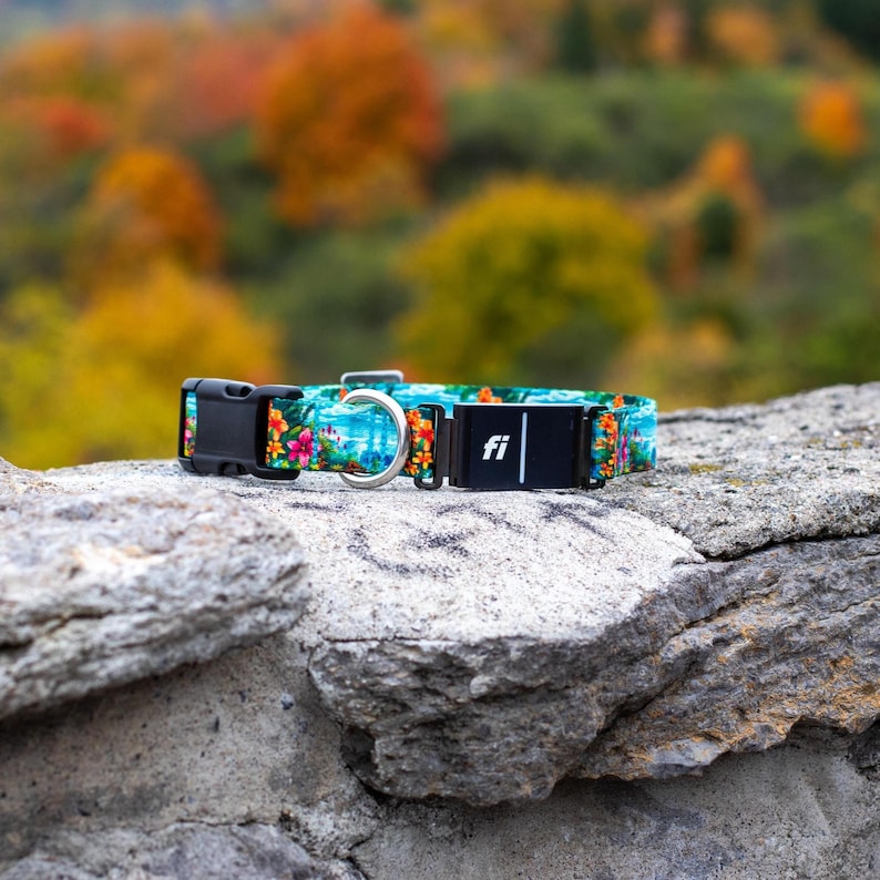 K&ouml;nnte beinhalten: Ein Haustierhalsband mit einem lebendigen tropischen Blumenmuster in Orange, Pink und Gelb auf t&uuml;rkisfarbenem Grund. Das Halsband verf&uuml;gt &uuml;ber eine schwarze Kunststoff-Steckschnalle, einen silbernen Metall-D-Ring und ein schwarzes Fi-Ortungsger&auml;t.