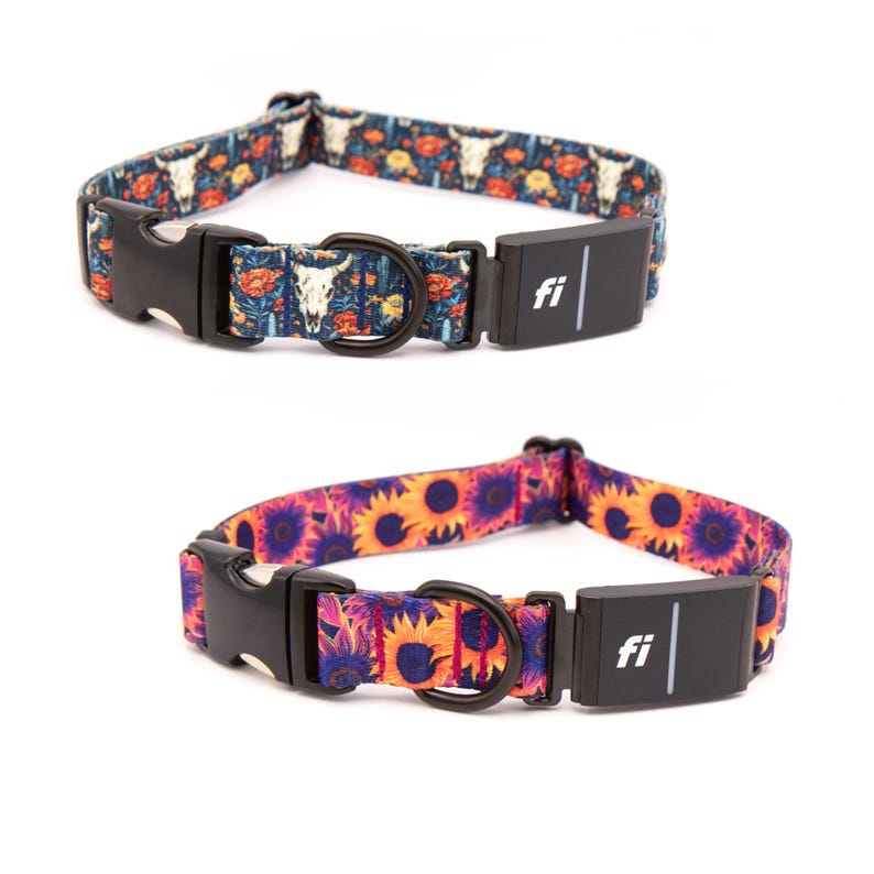 K&ouml;nnte beinhalten: Zwei Hundehalsb&auml;nder mit schwarzen Kunststoffschnallen und schwarzen Metall-D-Ringen. Das obere Halsband hat einen blauen Hintergrund mit wei&szlig;en Kuhsch&auml;deln und orangefarbenen Blumen. Das untere Halsband zeigt ein Muster aus orangefarbenen und violetten Sonnenblumen.